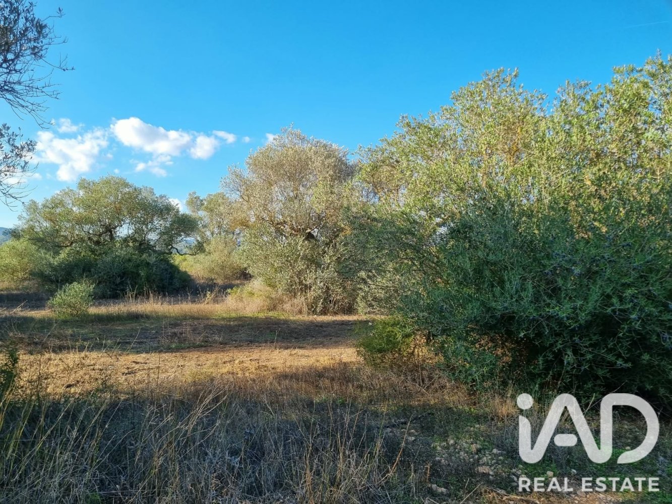 Land plot in Ginestar, Tarragona, Spain 22451 sq.m. No. 199522