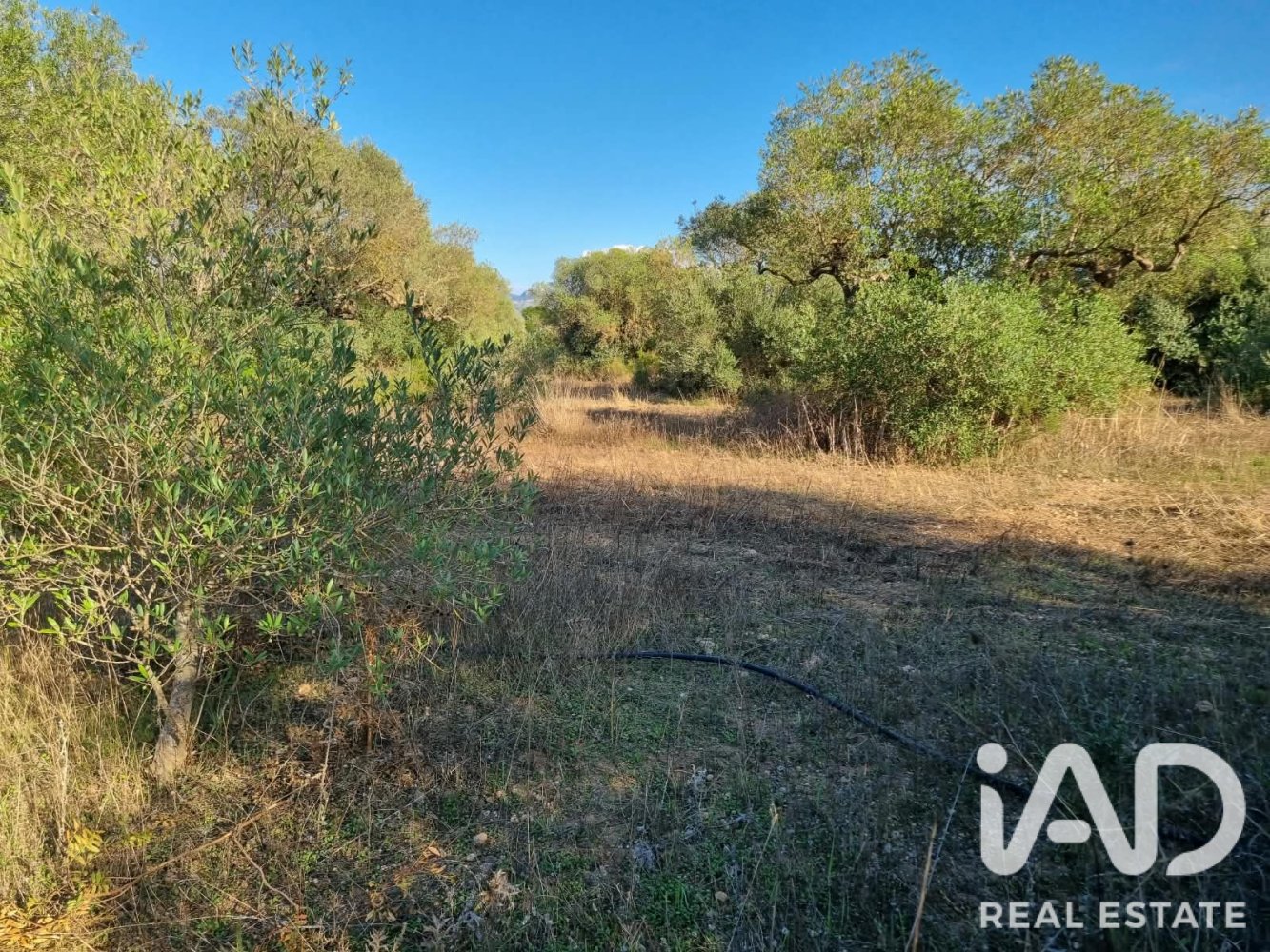Land plot in Ginestar, Tarragona, Spain 22451 sq.m. No. 199522