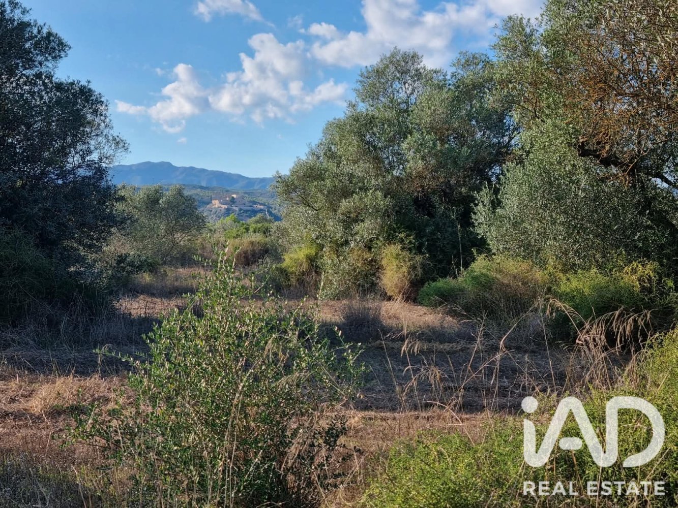 Land plot in Ginestar, Tarragona, Spain 22451 sq.m. No. 199522