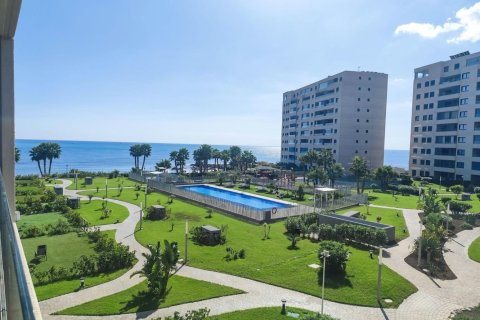 Apartment in Punta Prima, Alicante, Spain 3 bedrooms, 120 sq.m. No. 199097