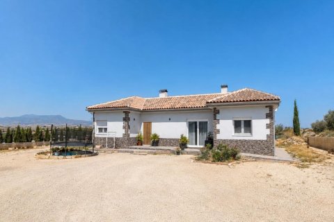 Villa en Pinoso, Alicante, España 4 dormitorios, 150 m2 No. 198963