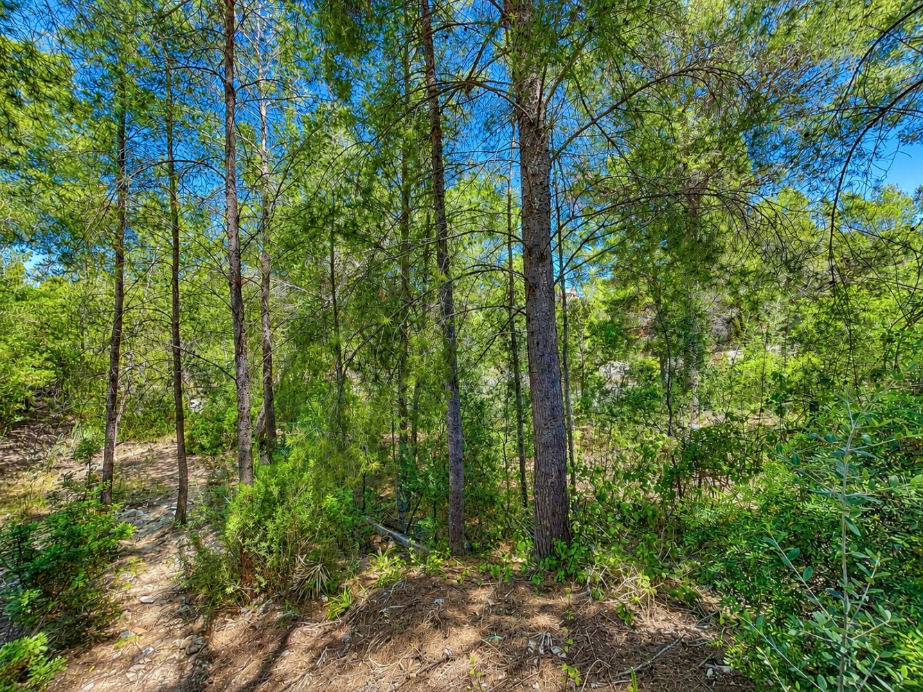 Land plot in Santa Ponsa, Mallorca, Spain 400 sq.m. No. 199239
