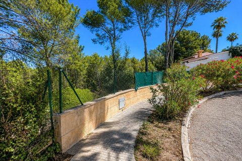 Land plot in Santa Ponsa, Mallorca, Spain 400 sq.m. No. 199239