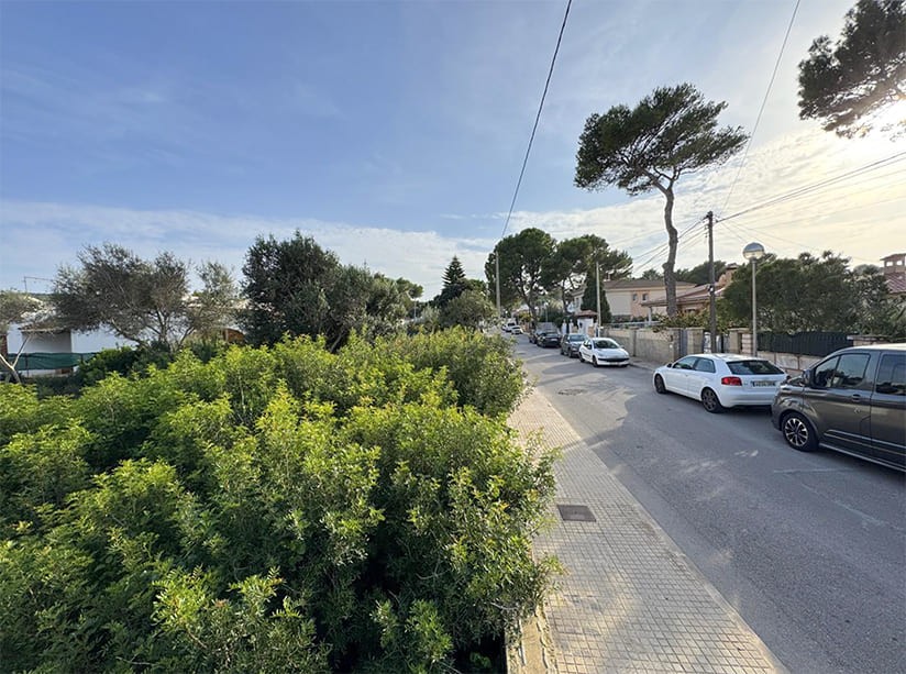 Land in El Toro, Mallorca, Spanien Nr. 198540