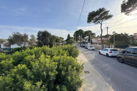 Land in El Toro, Mallorca, Spanien Nr. 198540