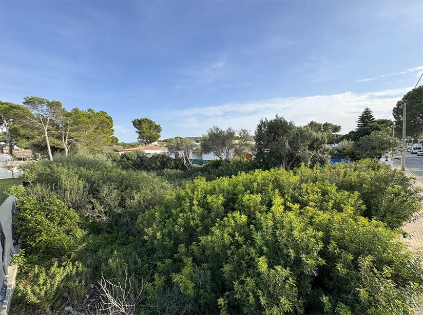 Land in El Toro, Mallorca, Spanien Nr. 198540