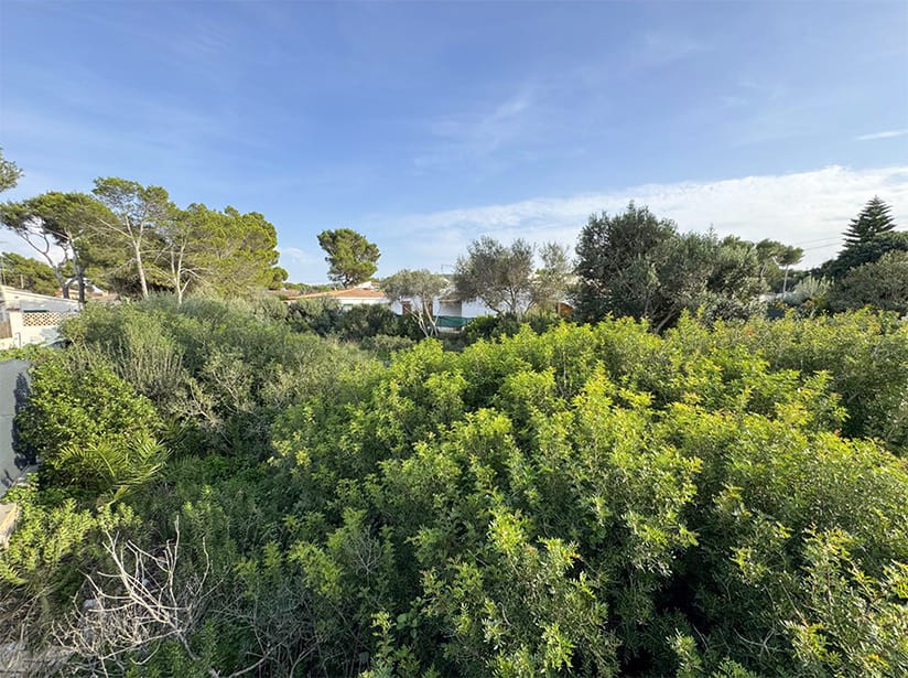 Land in El Toro, Mallorca, Spanien Nr. 198540