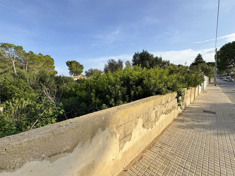 Land in El Toro, Mallorca, Spanien Nr. 198540