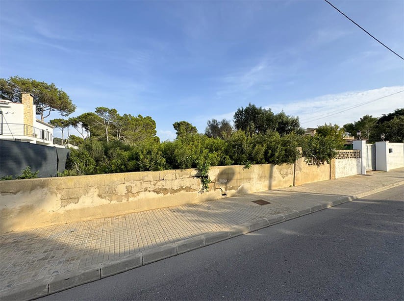 Land in El Toro, Mallorca, Spanien Nr. 198540