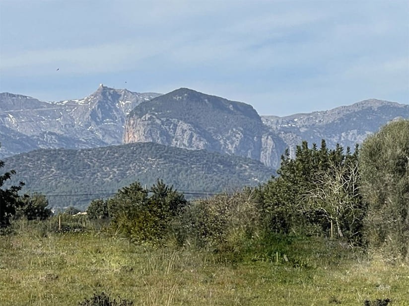 Villa in Santa Maria Del Cami, Mallorca, Spain 4 bedrooms, 490 sq.m. No. 198835