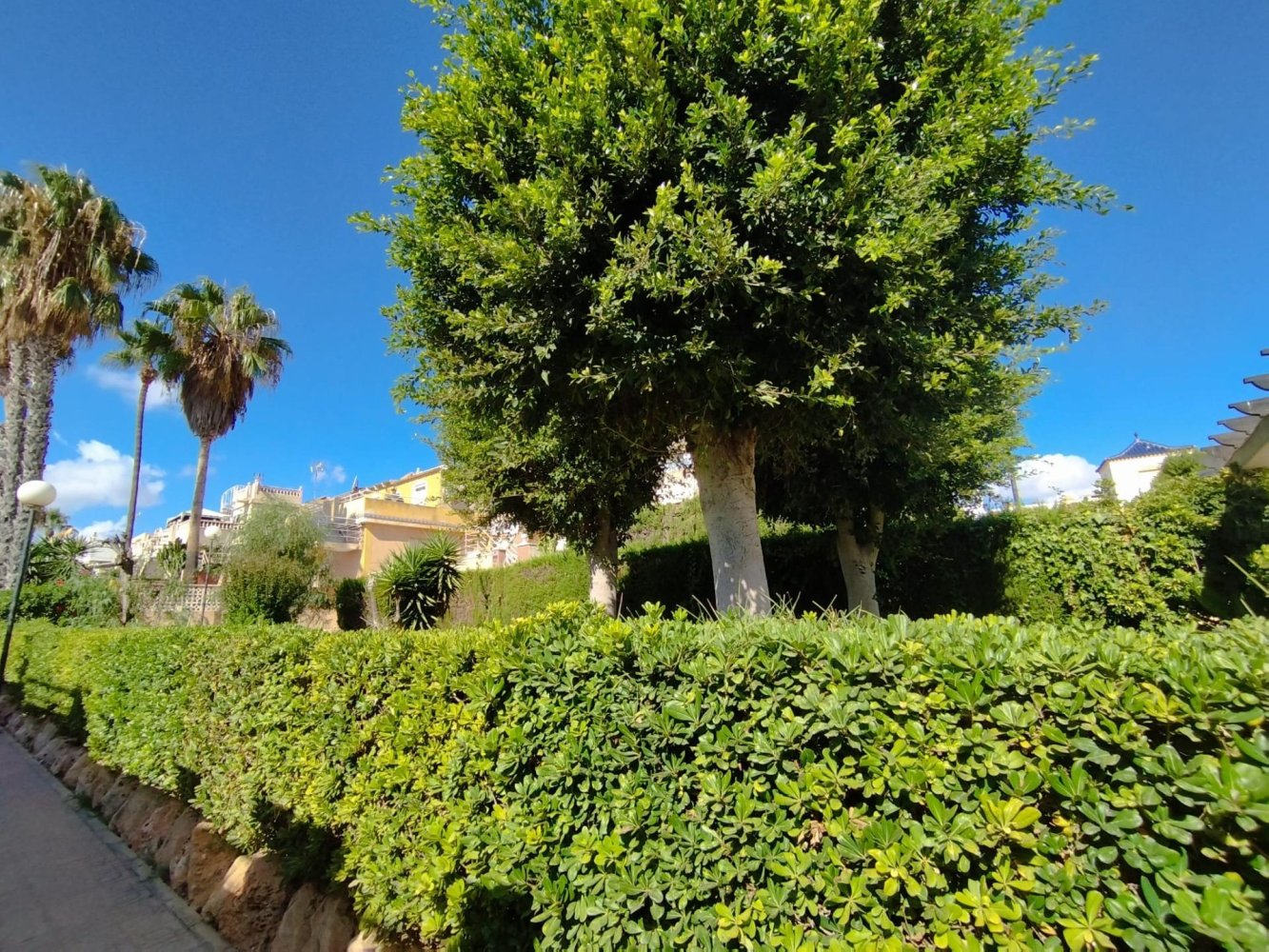 House in Torrevieja, Alicante, Spanien 3 Schlafzimmer, 75 m2 Nr. 197134