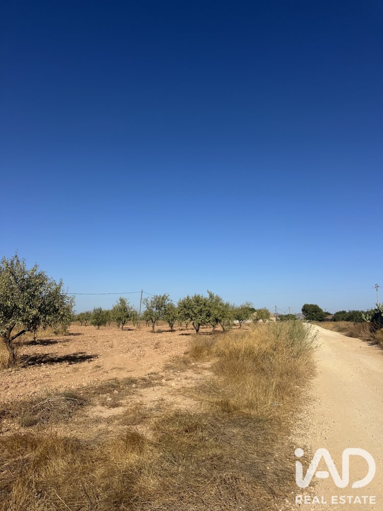 Māja Fuente Alamo, Murcia, Spānijā 2 istabas, 126 m2 Nr. 197785