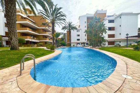 Appartamento a Torrevieja, Alicante, Spagna 84 mq. N° 198123