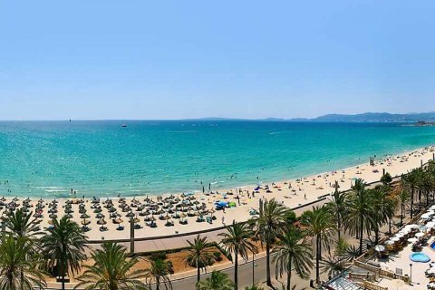 Palma is the third high-priced city in Spain when renting a room
