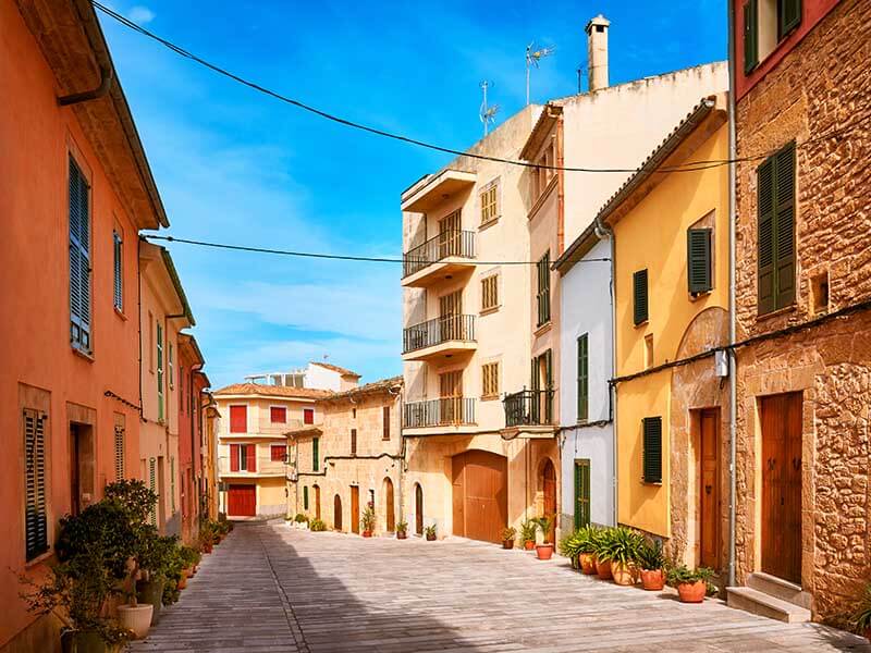 Rules for Bringing Pets into Spain in 2026