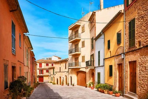 Rules for Bringing Pets into Spain in 2026