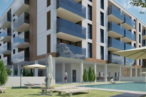 Olivha Guadalajara, Spānijā Nr. 66050