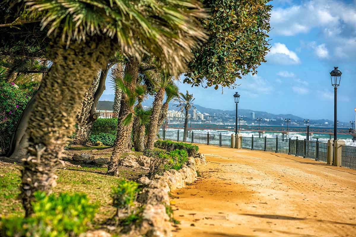 Real estate in 2023 in the regions of Costa Blanca, Costa del Sol, Costa Dorada and the Balearic Islands