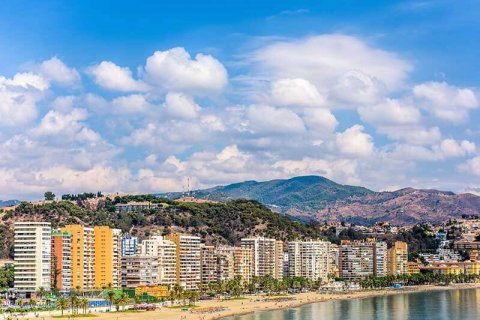 The excitement in the real estate market of Malaga has peaked, and prices have set a new growth record for the year — 13.5%