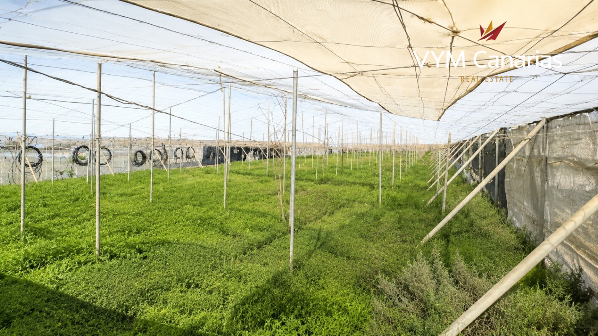 Finca in Granadilla de Abona, Tenerife, Spain No. 182552