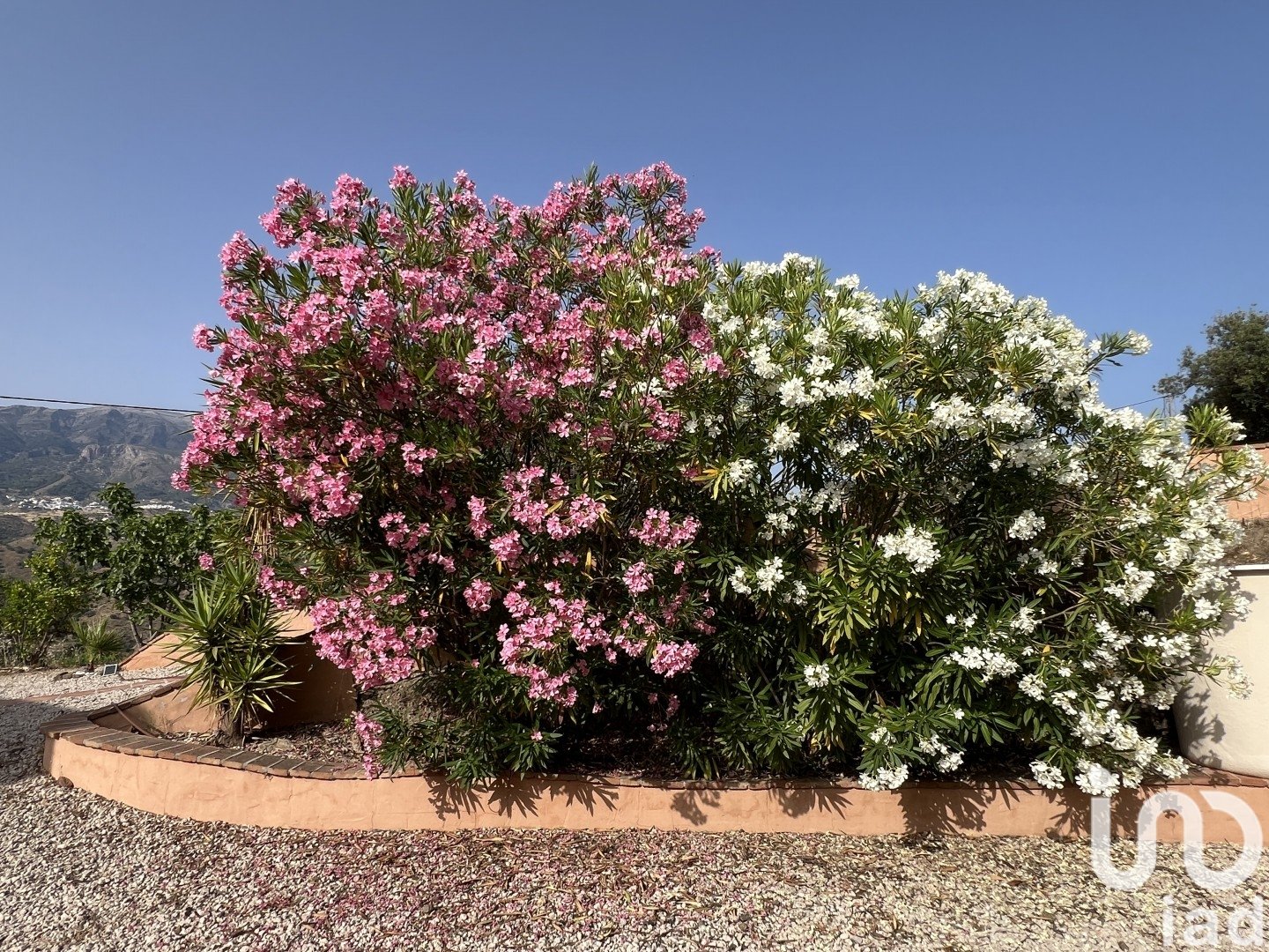 House in Canillas de Aceituno, Malaga, Spain 3 bedrooms, 130 sq.m. No. 153712