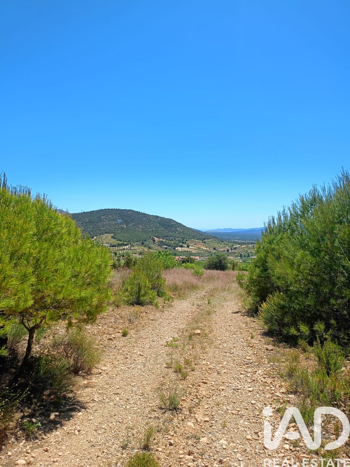 Land plot in Lorca, Murcia, Spain 4462 sq.m. No. 188346