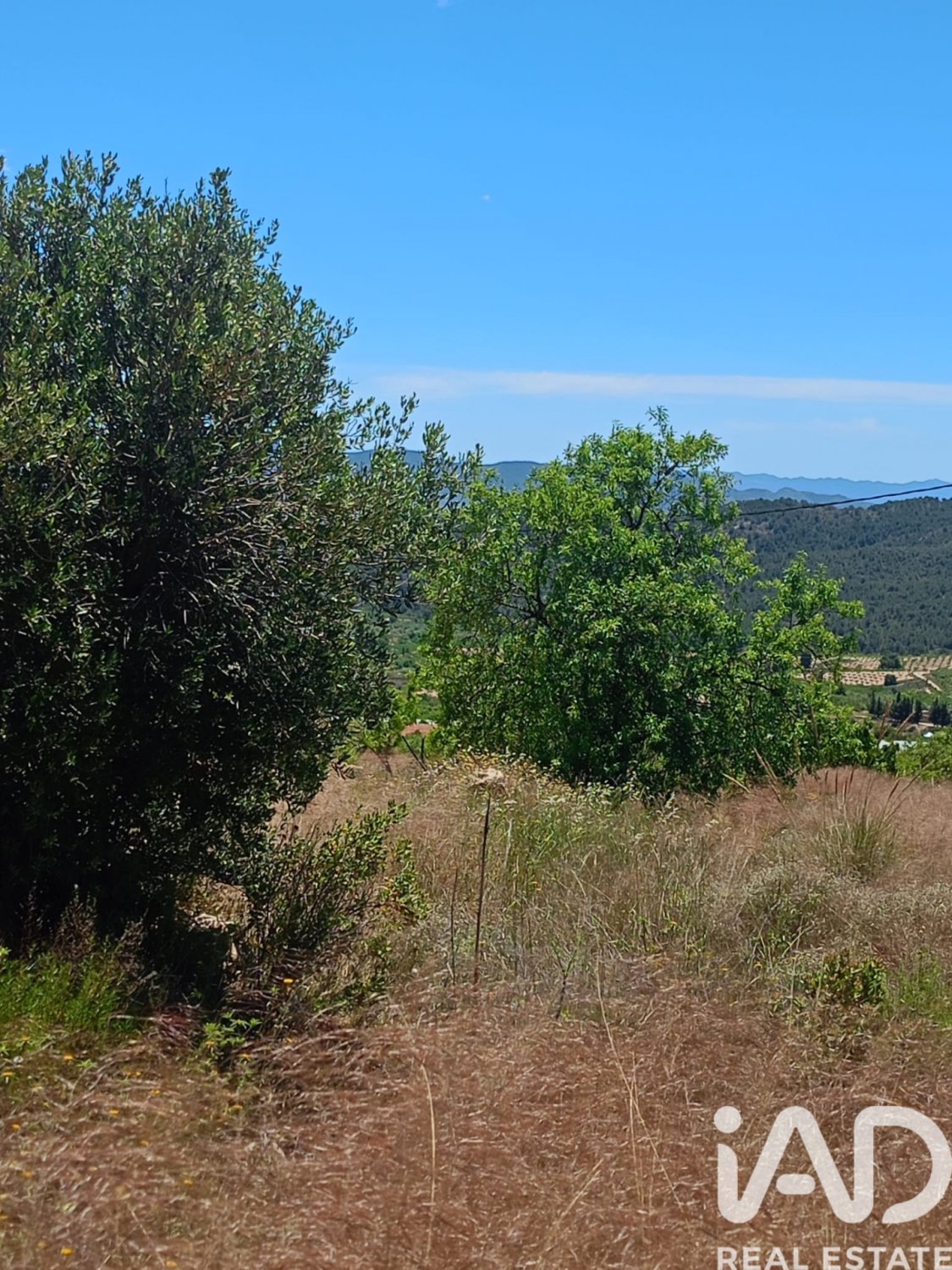 Land plot in Lorca, Murcia, Spain 4462 sq.m. No. 188346