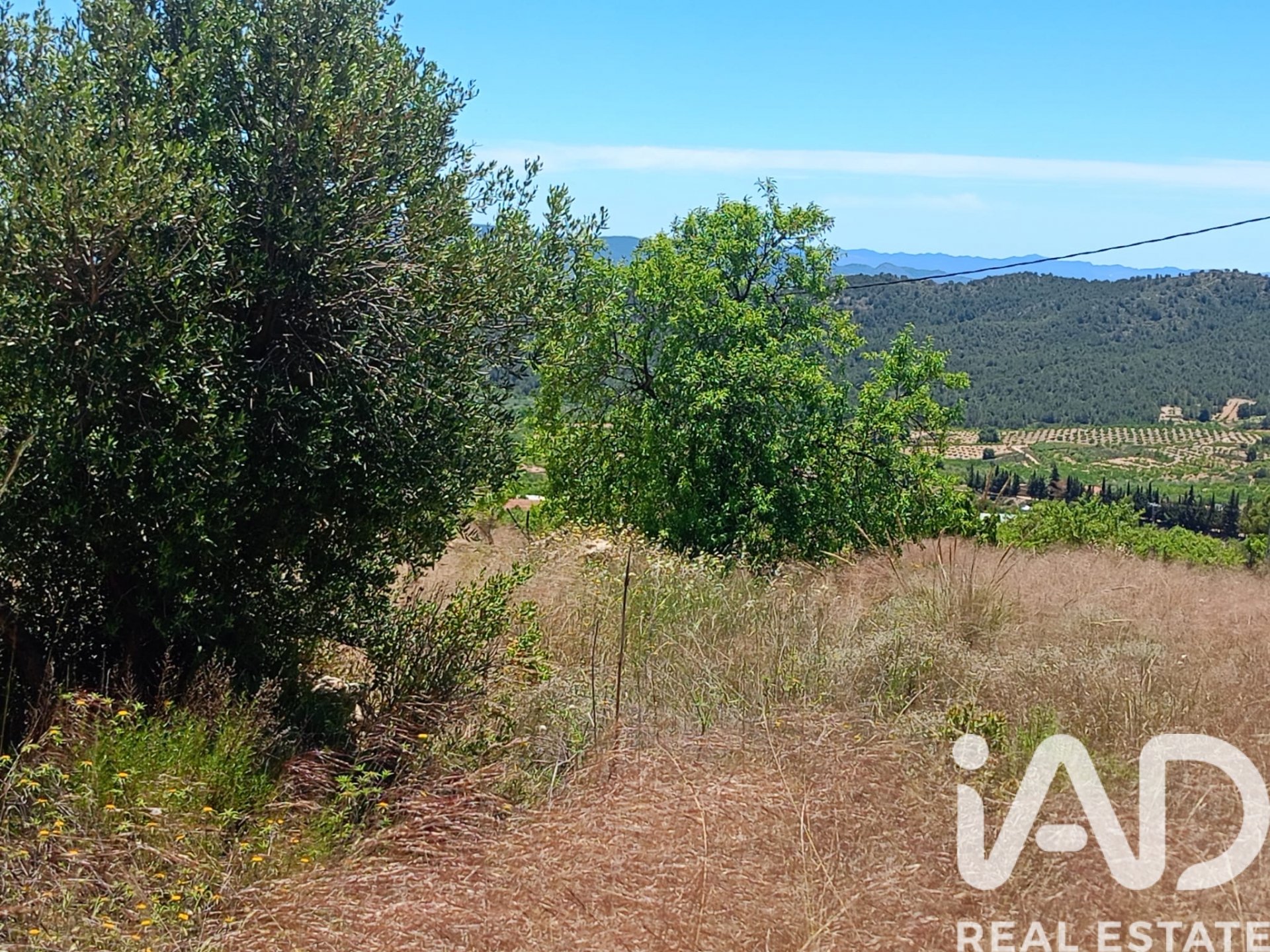 Land plot in Lorca, Murcia, Spain 4462 sq.m. No. 188346