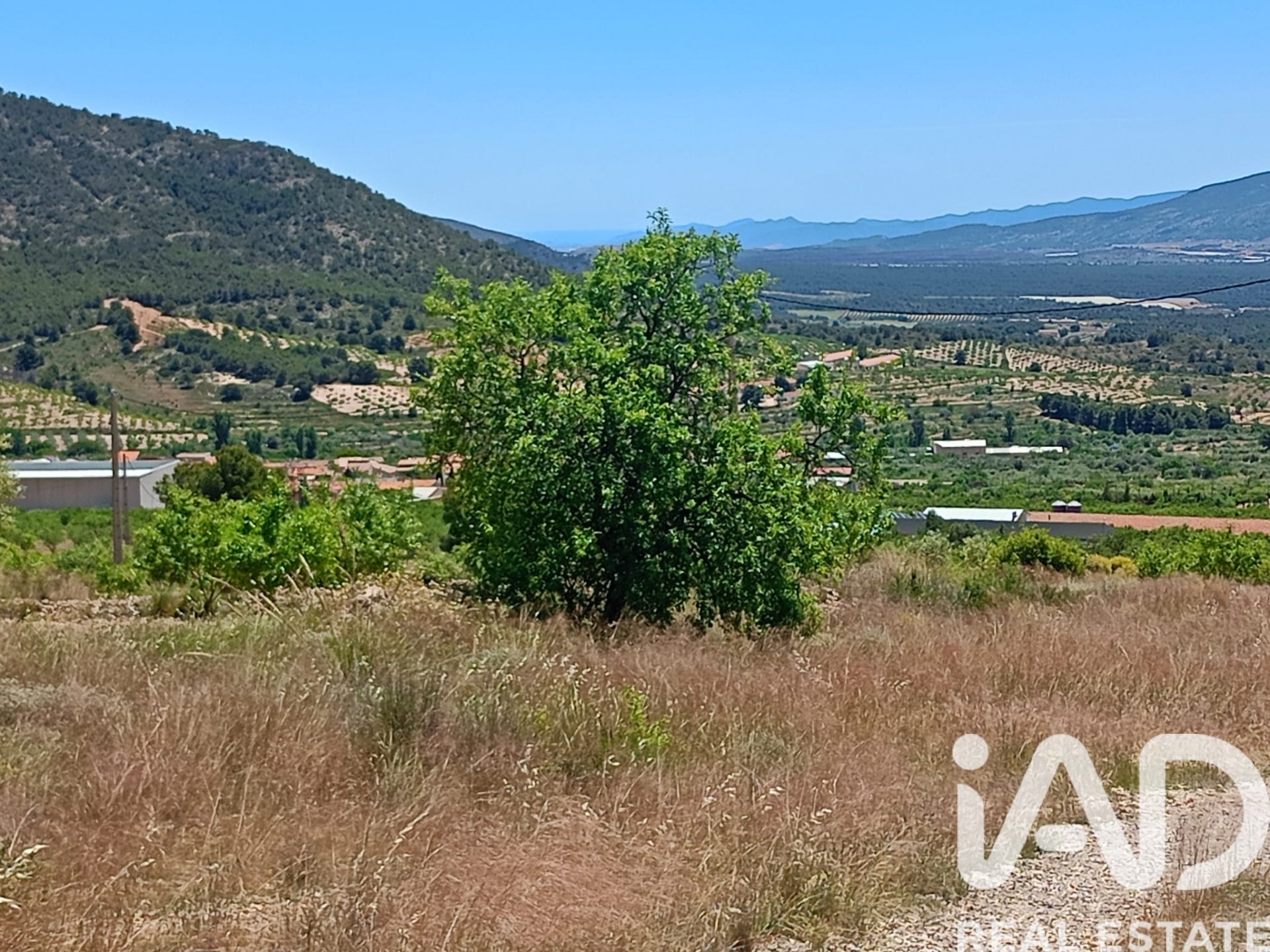 Land plot in Lorca, Murcia, Spain 4462 sq.m. No. 188346