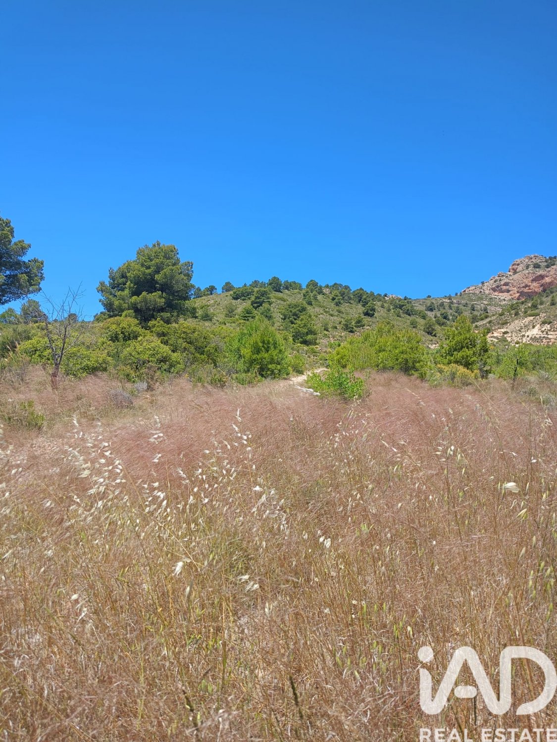Land plot in Lorca, Murcia, Spain 4462 sq.m. No. 188346