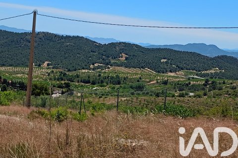 Land plot in Lorca, Murcia, Spain 4462 sq.m. No. 188346