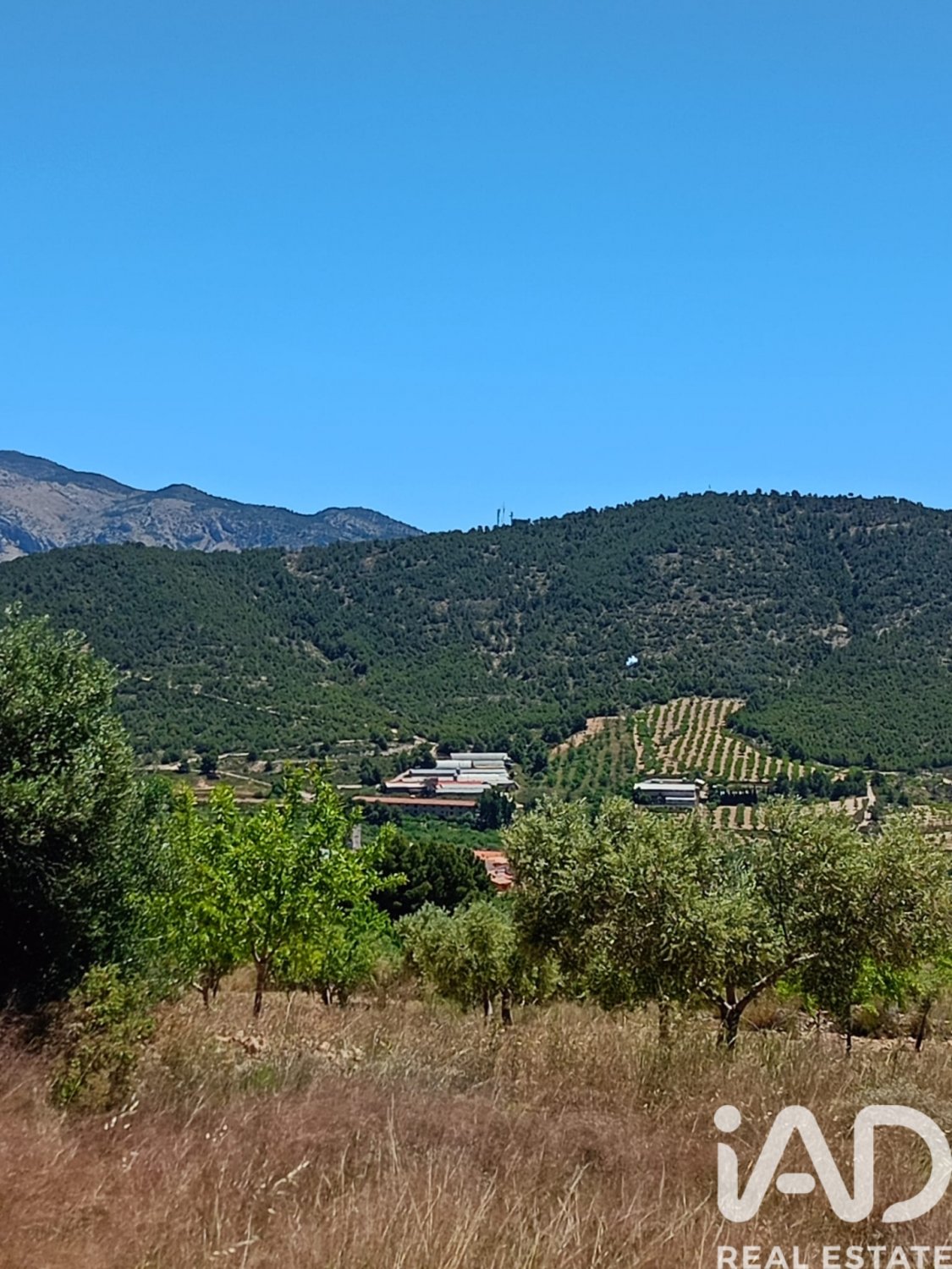 Land plot in Lorca, Murcia, Spain 4462 sq.m. No. 188346