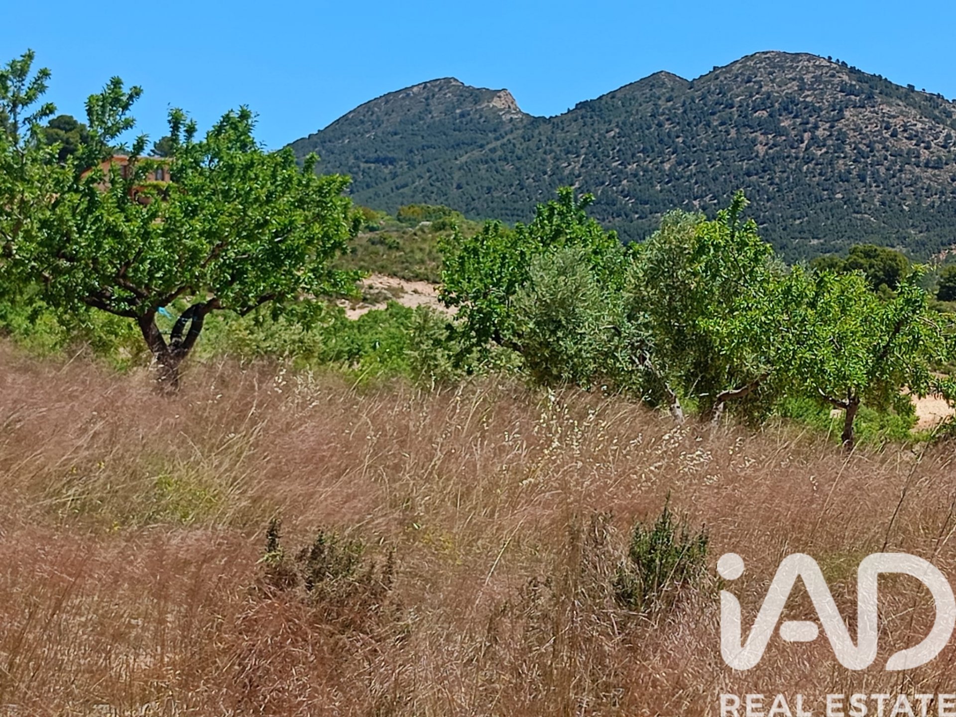 Land plot in Lorca, Murcia, Spain 4462 sq.m. No. 188346