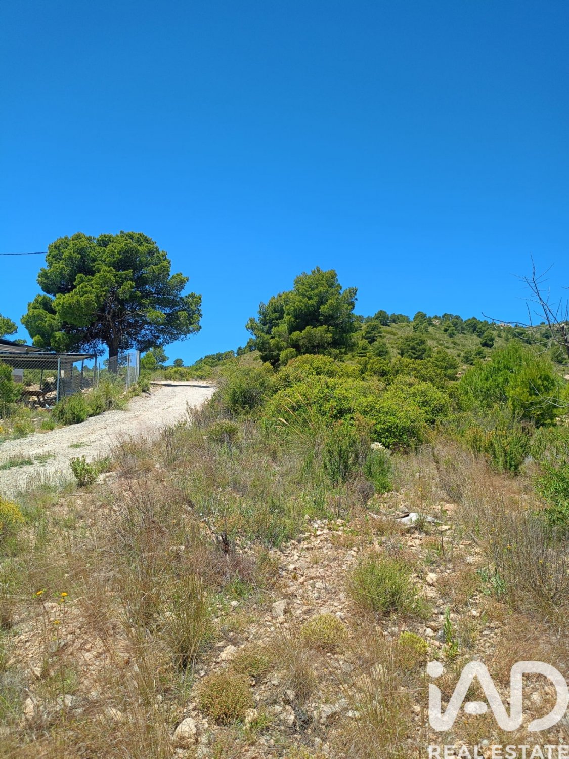Land plot in Lorca, Murcia, Spain 4462 sq.m. No. 188346