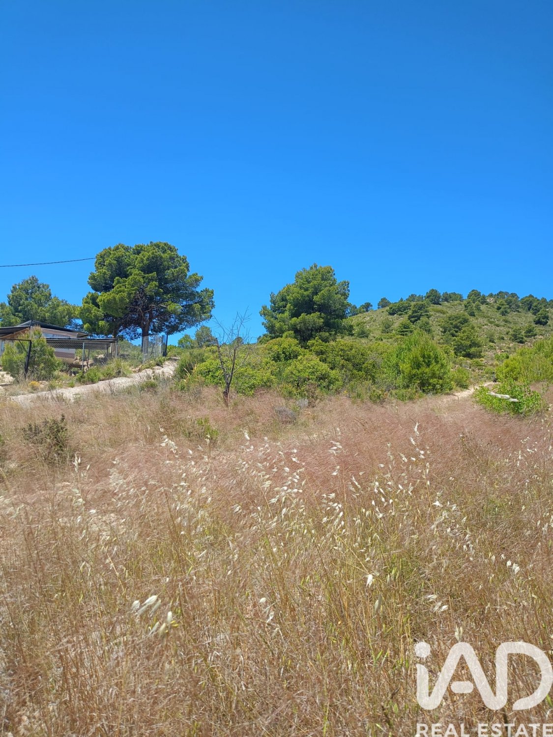 Land plot in Lorca, Murcia, Spain 4462 sq.m. No. 188346