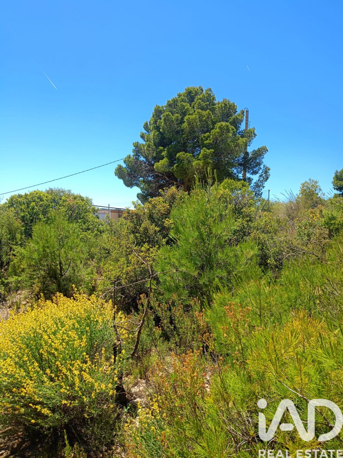 Land plot in Lorca, Murcia, Spain 4462 sq.m. No. 188346