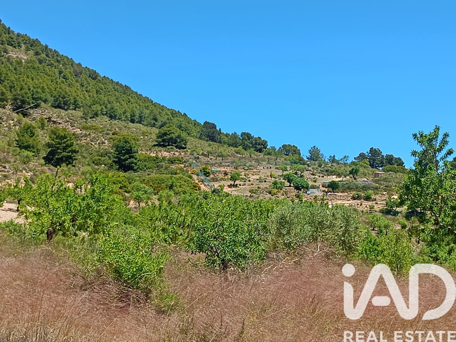 Land plot in Lorca, Murcia, Spain 4462 sq.m. No. 188346