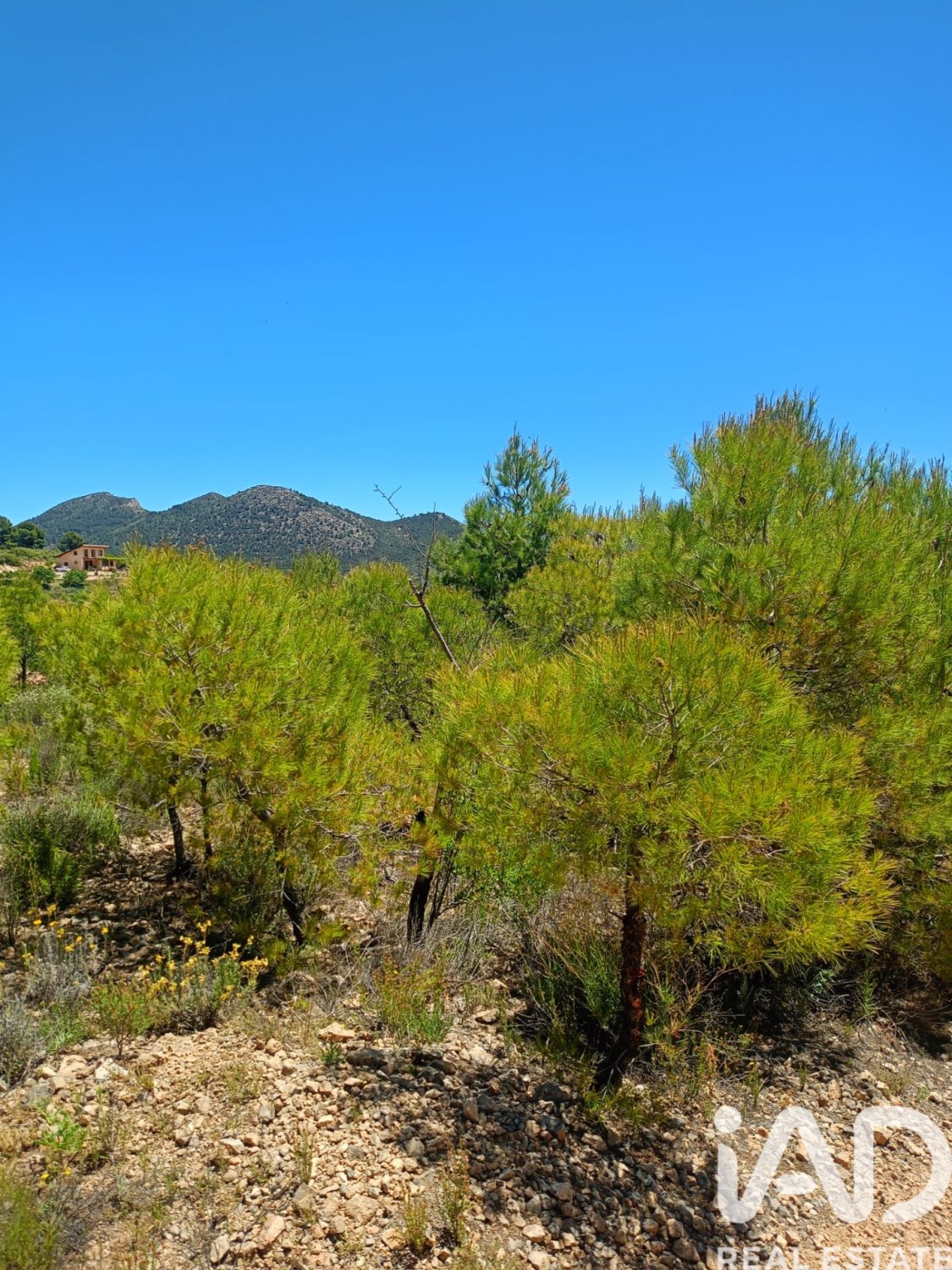 Land plot in Lorca, Murcia, Spain 4462 sq.m. No. 188346