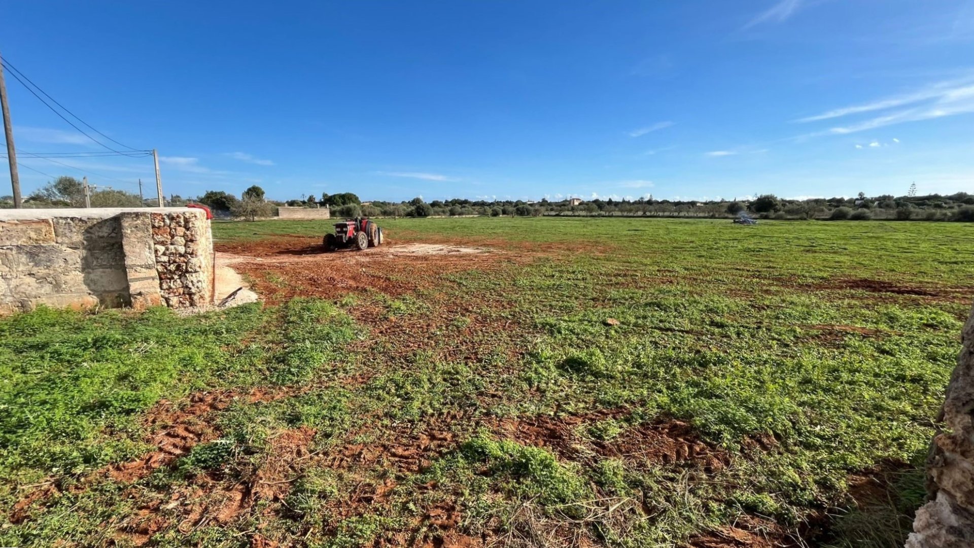 Land plot in Manacor, Mallorca, Spain 3 bedrooms, 14332 sq.m. No. 142676