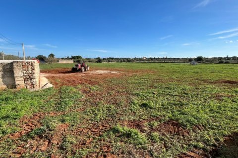Land plot in Manacor, Mallorca, Spain 3 bedrooms, 14332 sq.m. No. 142676