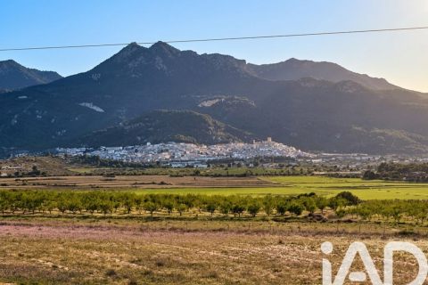 Terreno a Moratalla, Murcia, Spagna 251000 mq. N° 172786