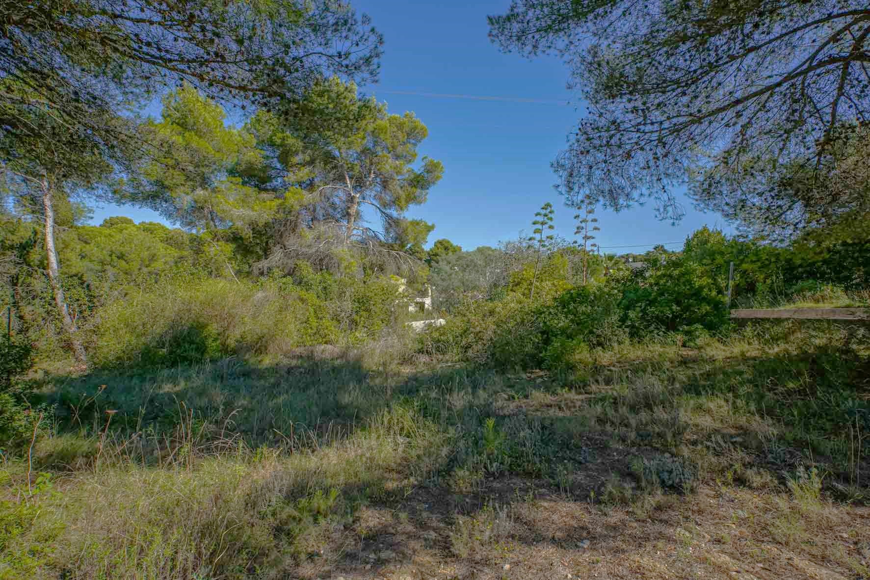 Land in Javea, Alicante, Spanien Nr. 78836