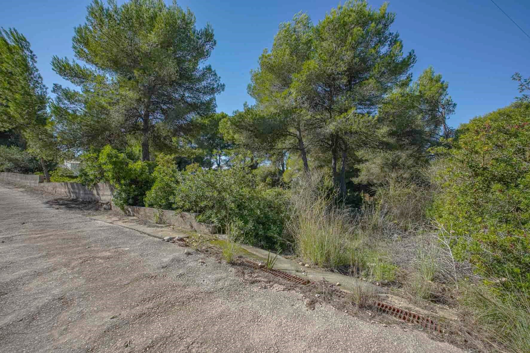 Land in Javea, Alicante, Spanien Nr. 78836