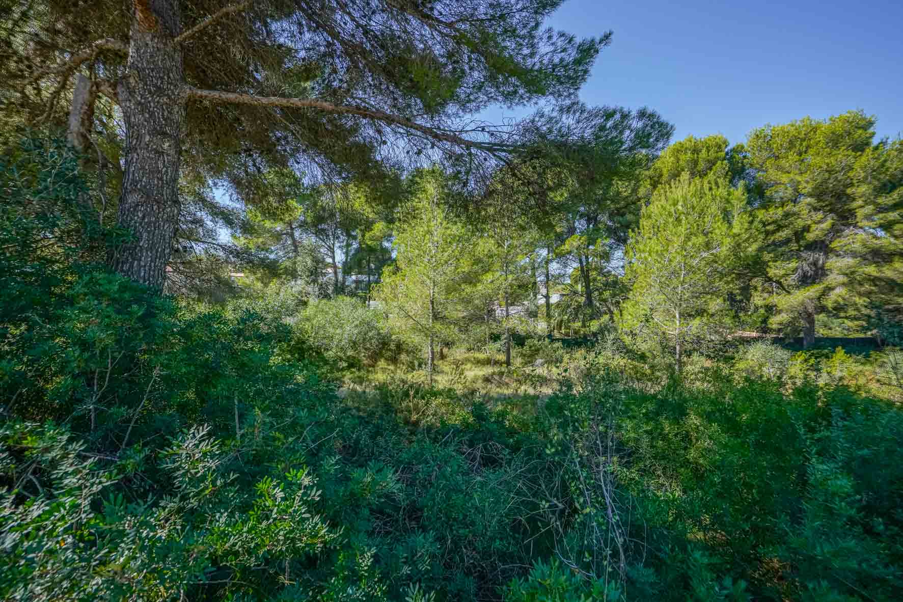 Land in Javea, Alicante, Spanien Nr. 78836