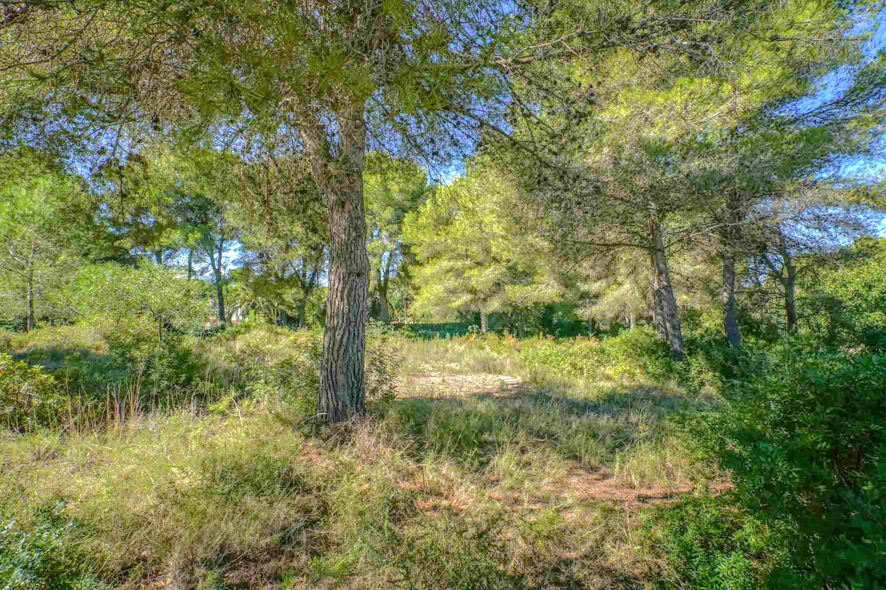 Land in Javea, Alicante, Spanien Nr. 78836