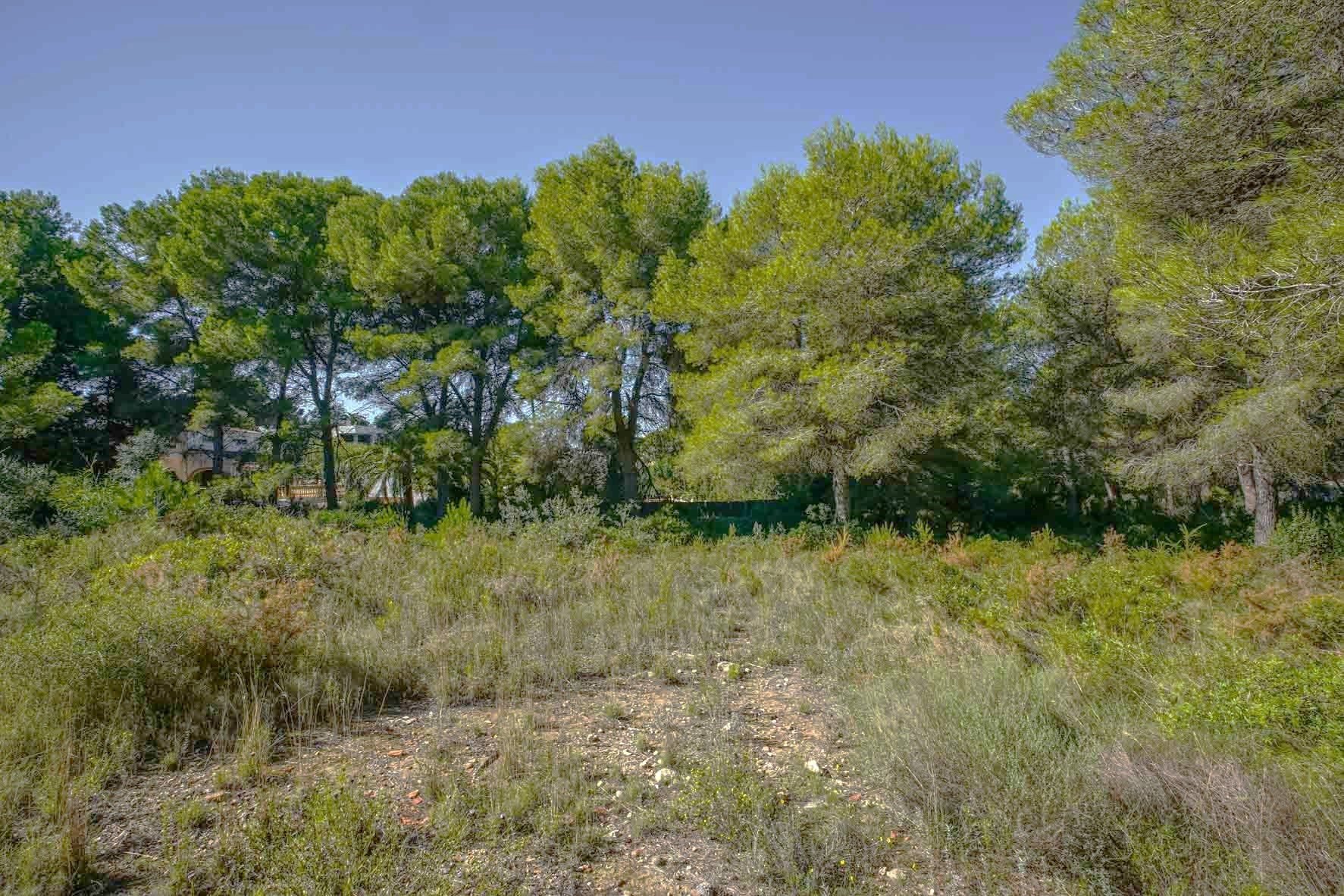 Land in Javea, Alicante, Spanien Nr. 78836