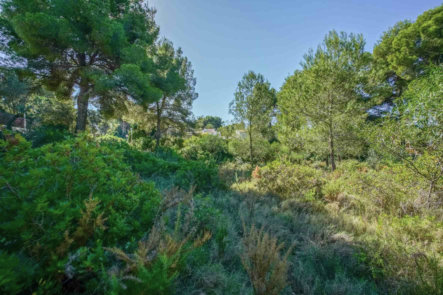 Land in Javea, Alicante, Spanien Nr. 78836
