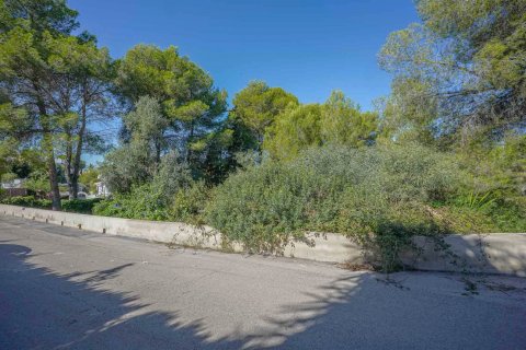 Land plot in Javea, Alicante, Spain No. 78836