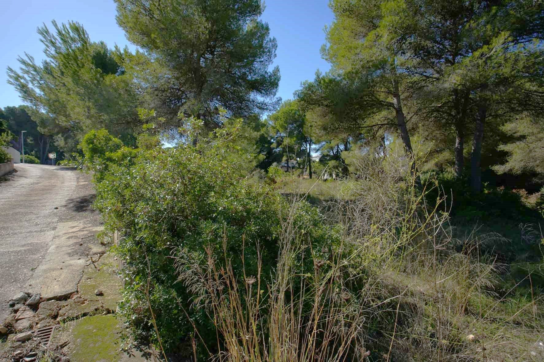 Land in Javea, Alicante, Spanien Nr. 78836