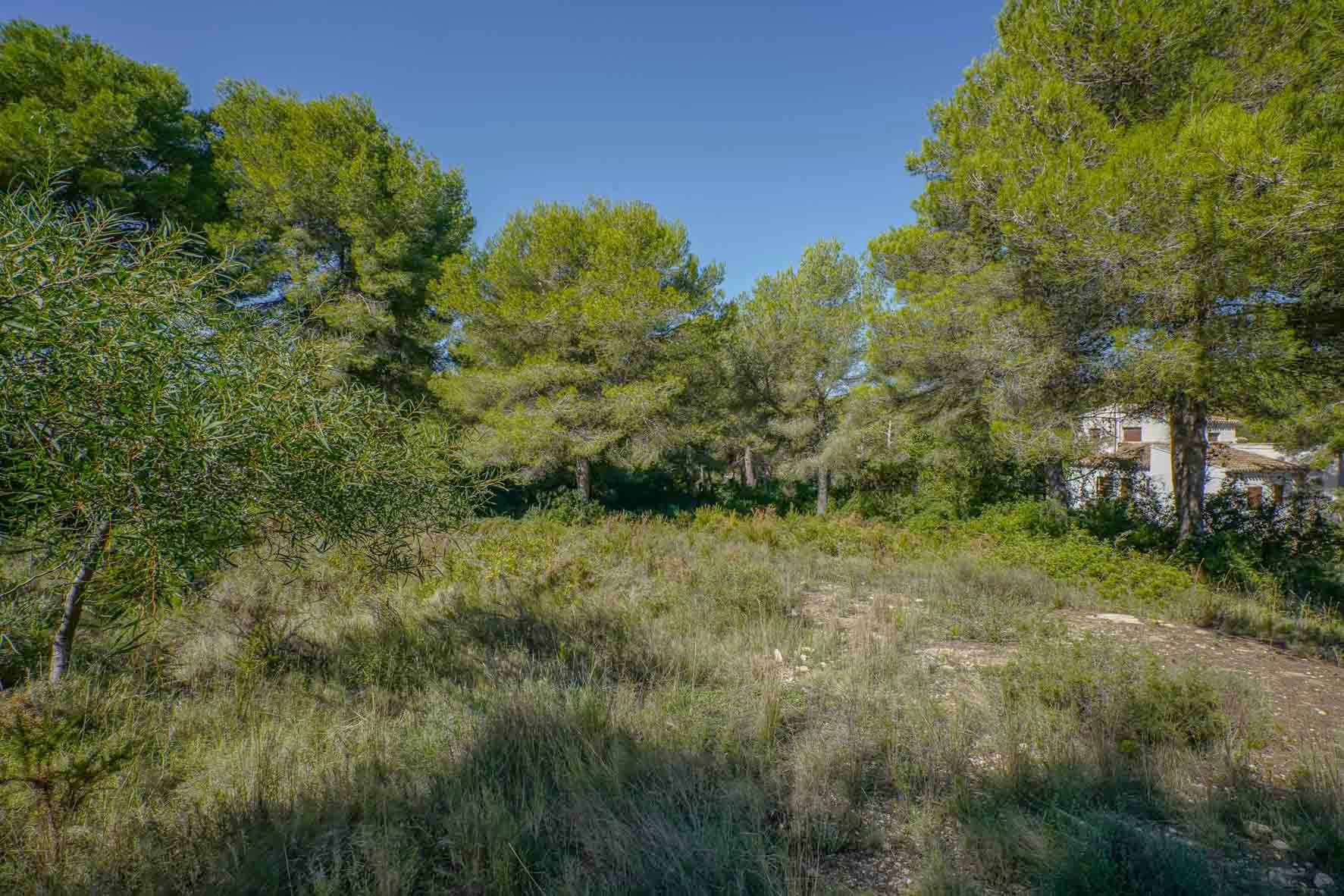 Land in Javea, Alicante, Spanien Nr. 78836